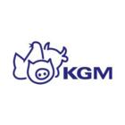 KGM SIA