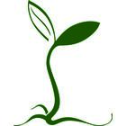 Ingleby Dobele Agro SIA