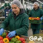 GP Recruitment SIA